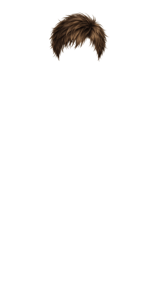 Men’s brown hair 1