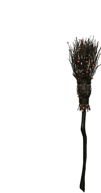 Witch broom