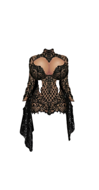 Voluptuous Onyx Bodice