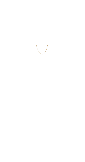 Swarovski Gold Chain