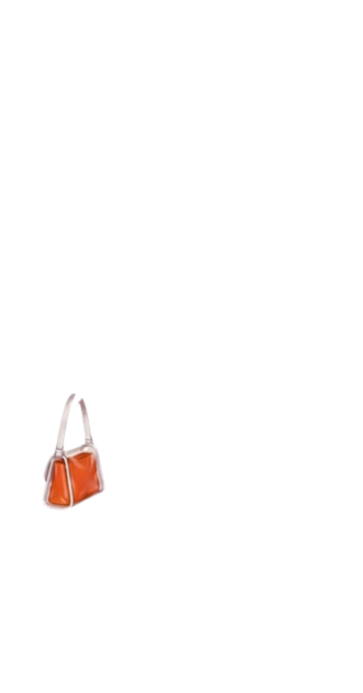 Orange Purse