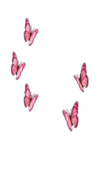 Pink butterfly ordeal