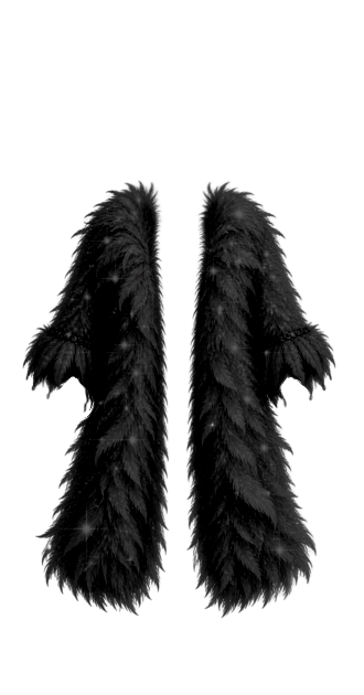 Luna Black Fur Coat