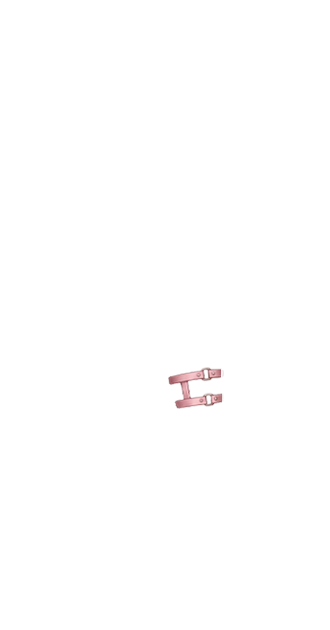 Pink Buckle