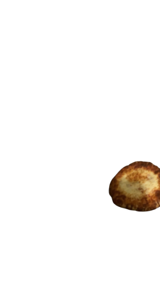 Shit Pie