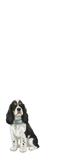 KovGala Spaniel