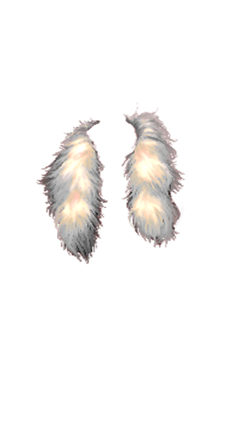 Faux Fur Stole