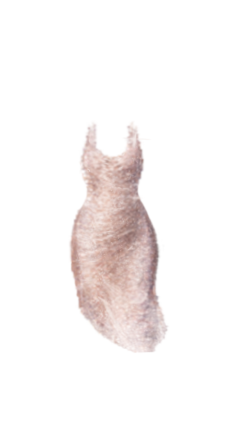 Rihanna Dress