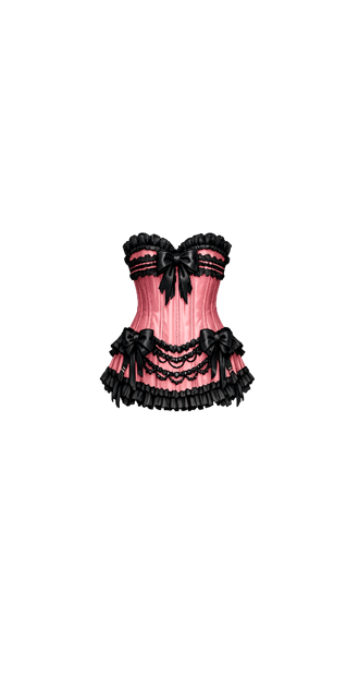 Elegant Corset