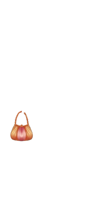 Bag Sun