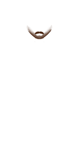 Brown Bigodon