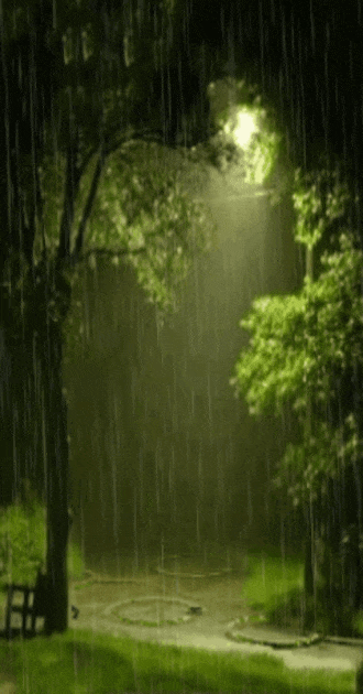 Rain