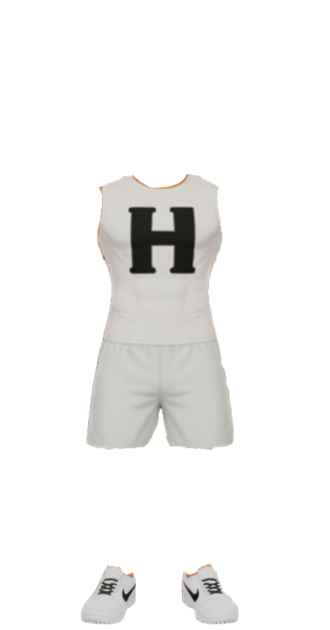 H Brand