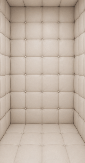 ASYLUM PADDED CELL