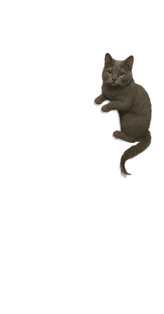 Russian Blue Cat Friend For Men