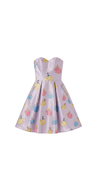 Disney Princess Fabric Dress