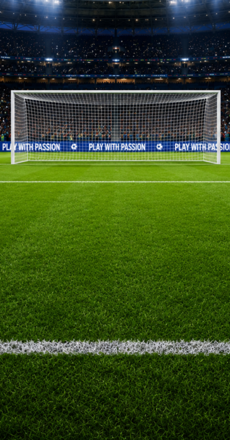 FIFA Stadium Goal Post