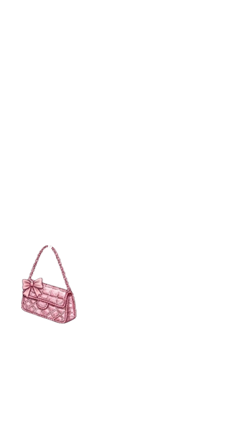 Pink Bag (normal skin)