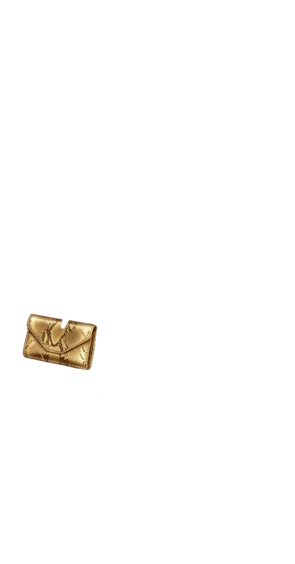 Bag Ani