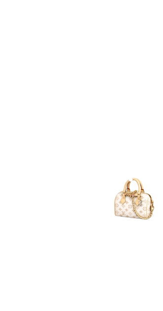 LV Handbag