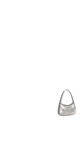 Strass bag (normal skin)