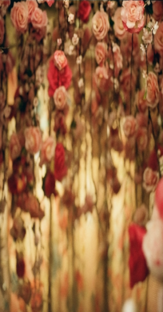 Euphoria Cassie Flowers BG