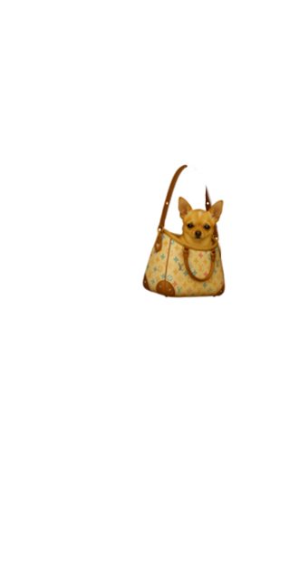 Beverly Hills Chihuahua inside Louis Vuitton Designer Shoulder Bag
