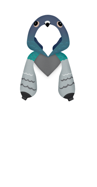 Pigeon 🕊️