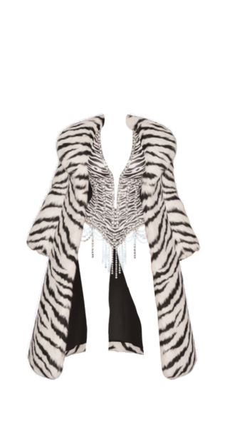 Zebra Glam