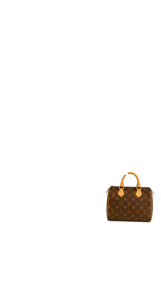 Louis Vuitton Classic Bag