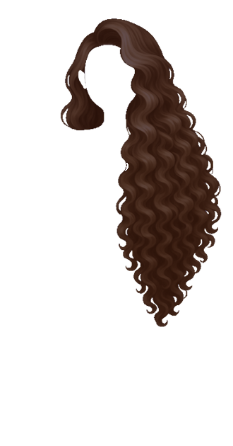 Long Curls Dark Brown