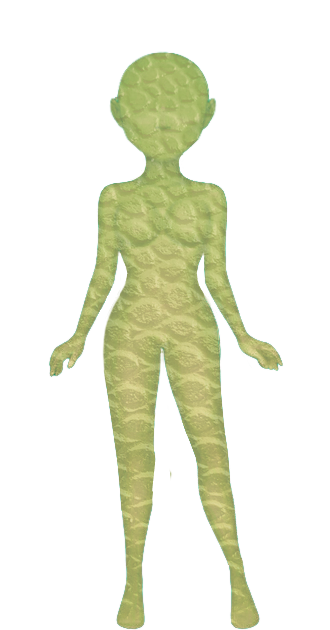Serpent Female Skin