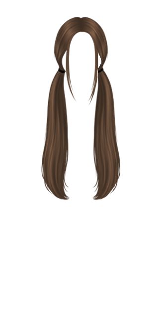 Brunette Twintails hair