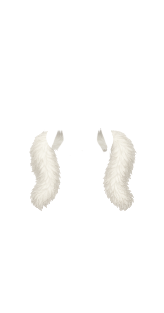 White Feather Boa