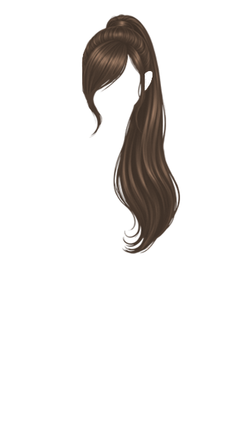 Brunette Ponytail