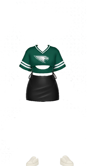 Philadelphia Eagles Crop Top