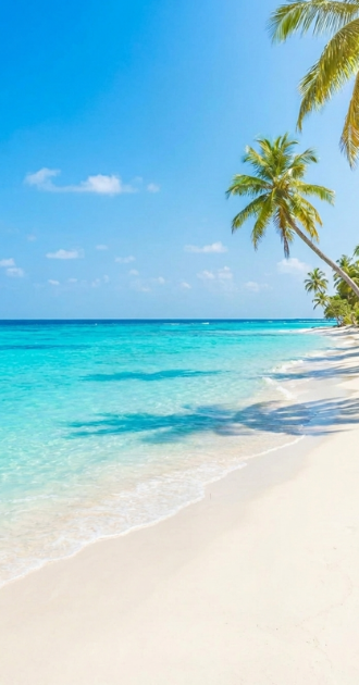 beach meeting of blues