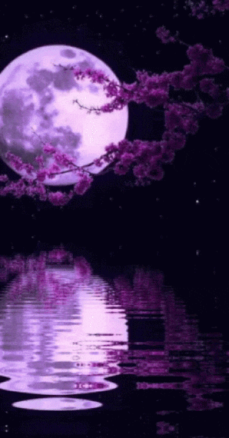 Lilac Night Animated Background
