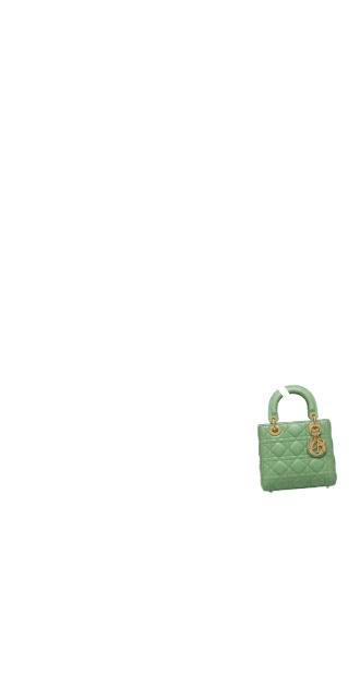 Green Dior Purse