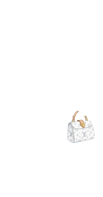Lv Bag White