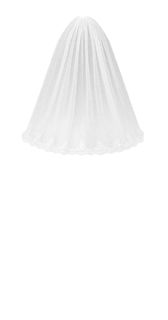 Wedding Veil