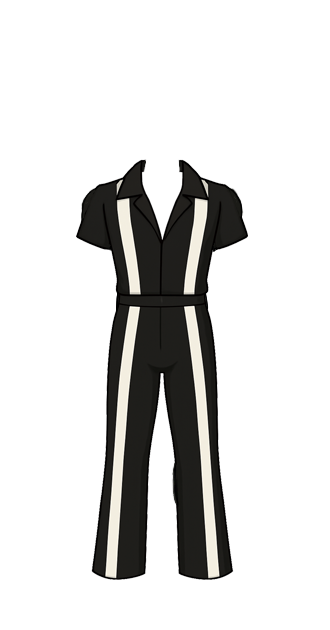 Harry Styles Concert Outfit