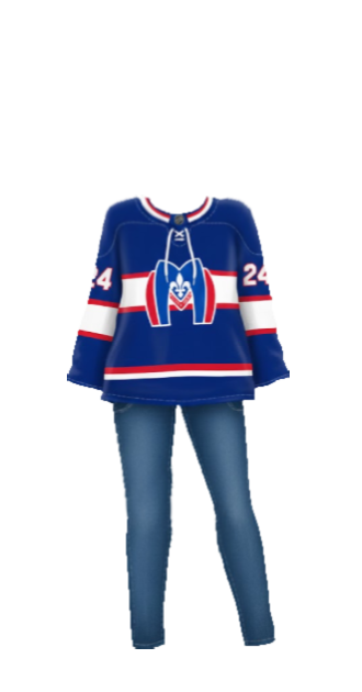 HR Shane Hollander Jersey