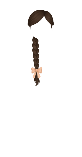 Dark Brown Braid w Bow 2.0
