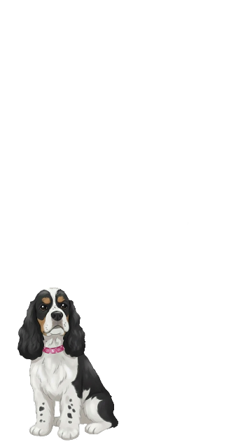 Spaniel Pet