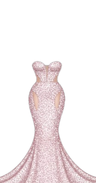 Miss Universe Dress Inna Moll