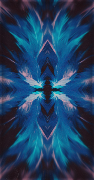 Dark Blue Feathers w/ Border