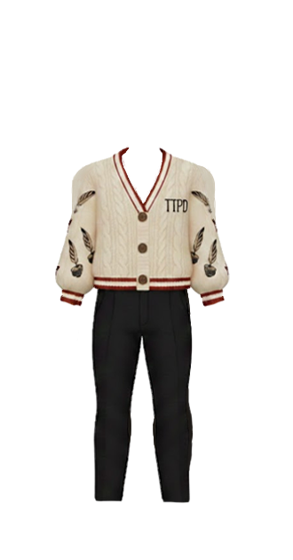 tortured poets department sweater (m)