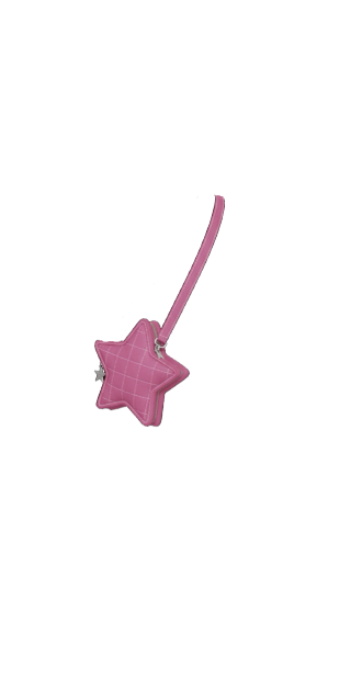 Pink Star Bag