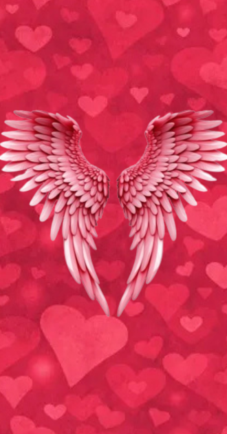 Angel Wings Love BG